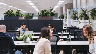 Graduate SEO Specialist and Executive Assistant